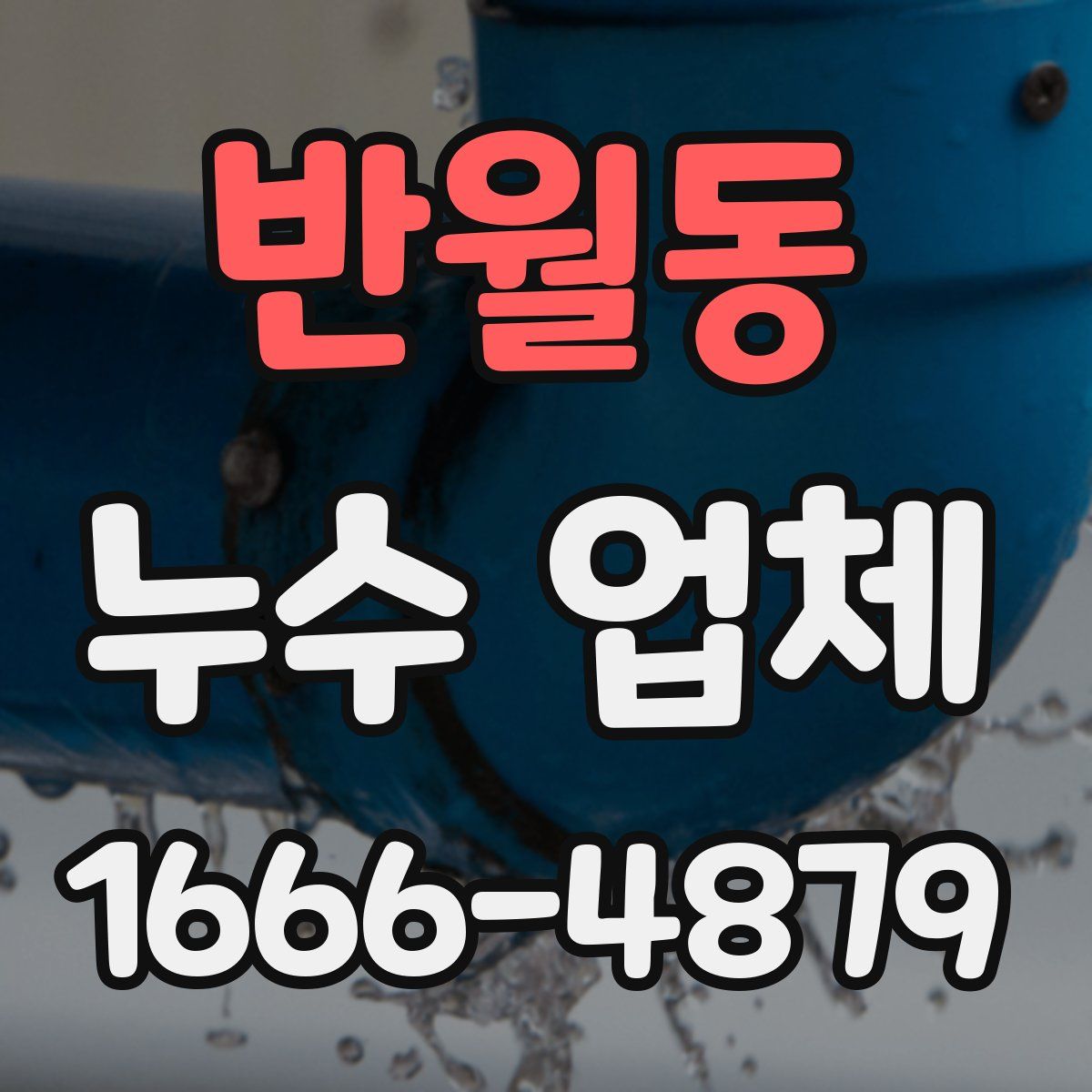 반월동 누수 업체