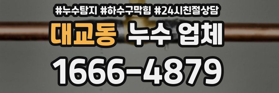 대교동 누수 업체