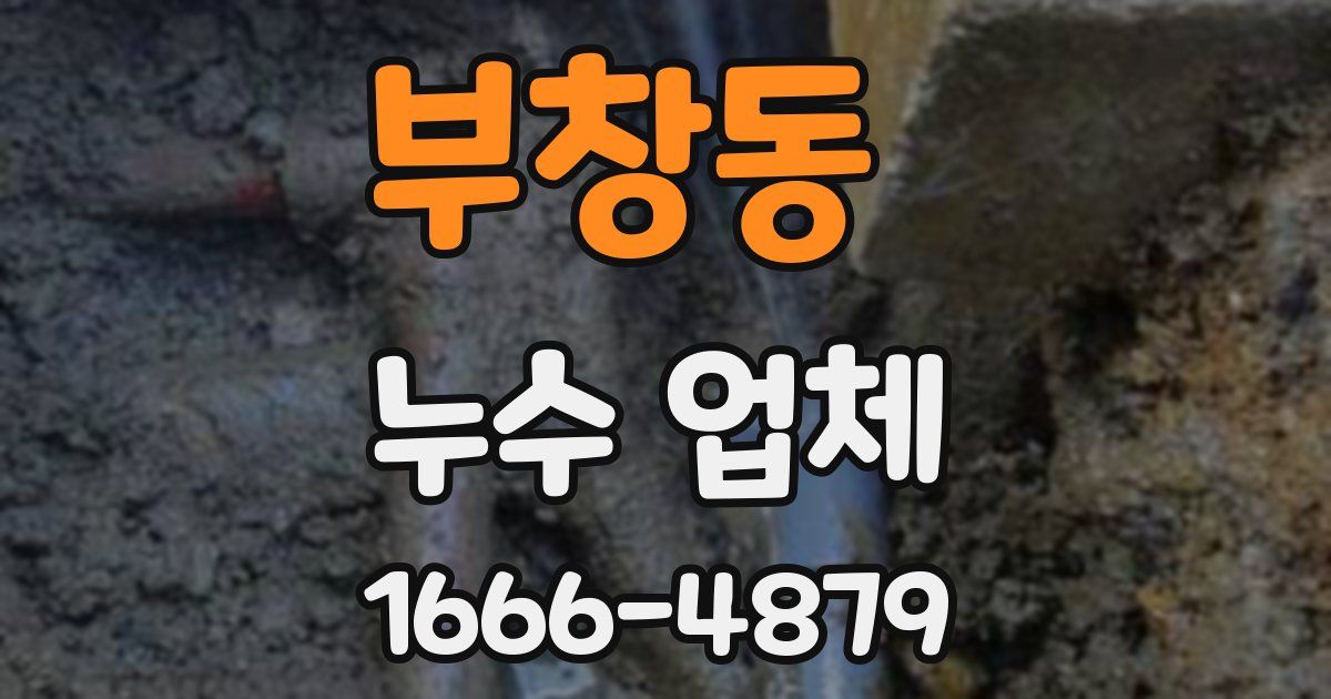 부창동 누수 업체