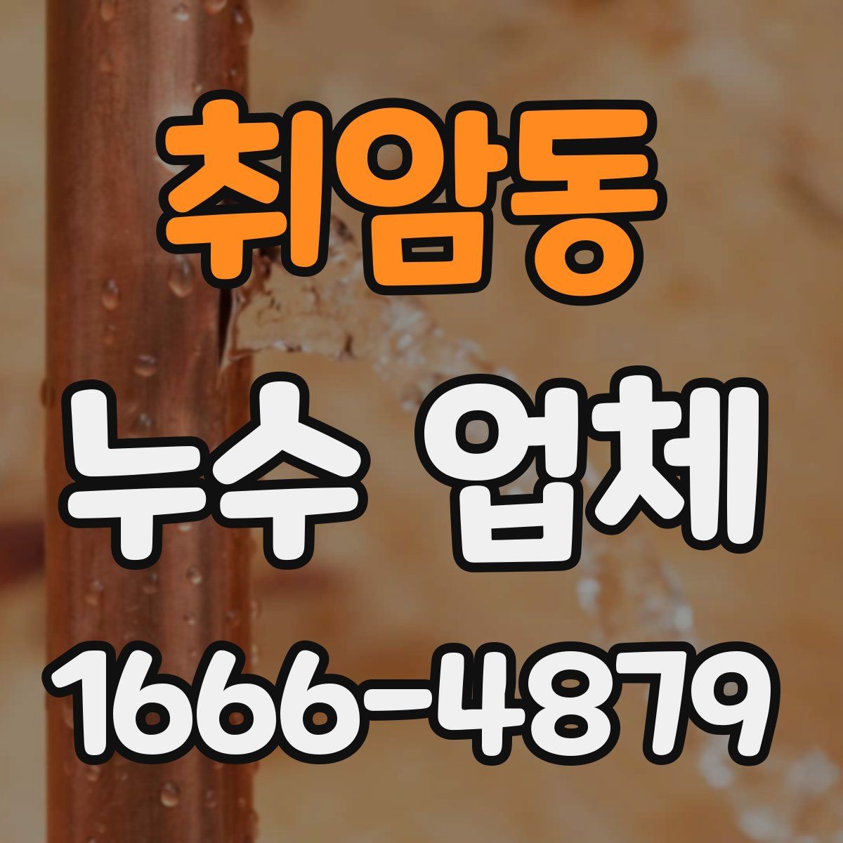 취암동 누수 업체