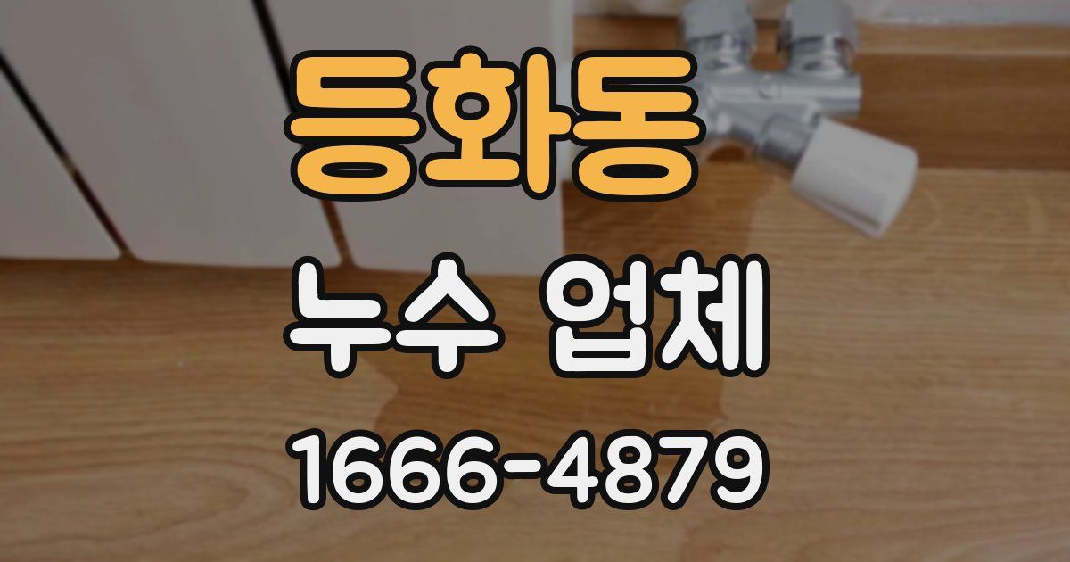등화동 누수 업체