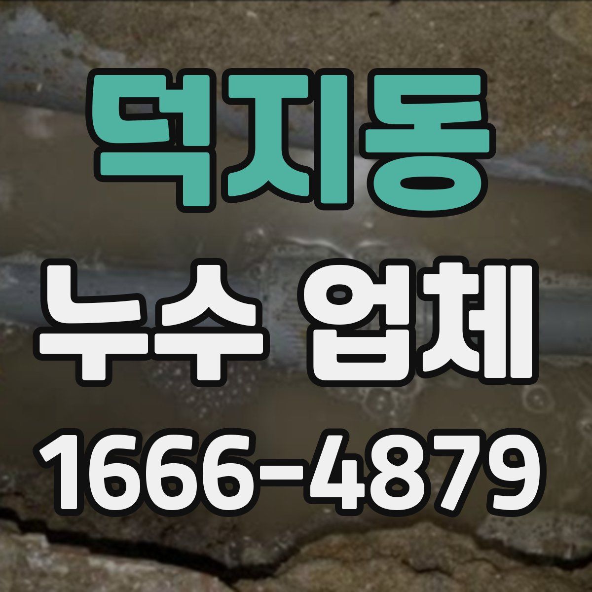 덕지동 누수 업체