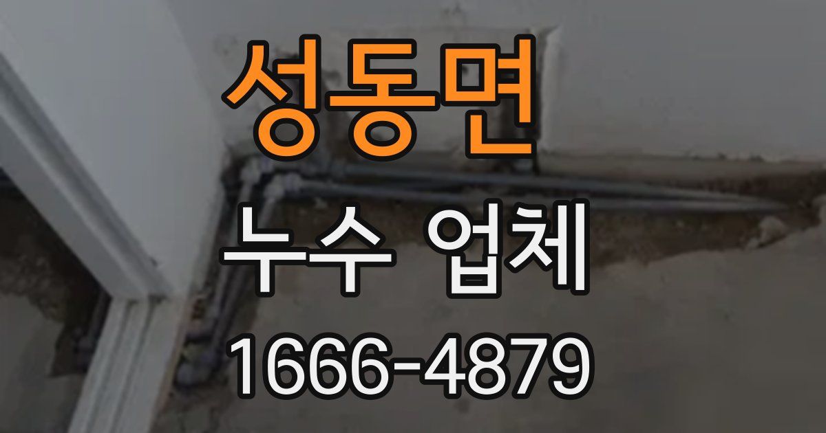 성동면 누수 업체