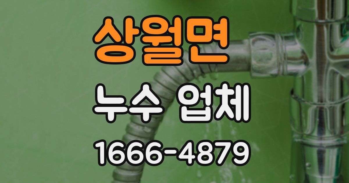 상월면 누수 업체