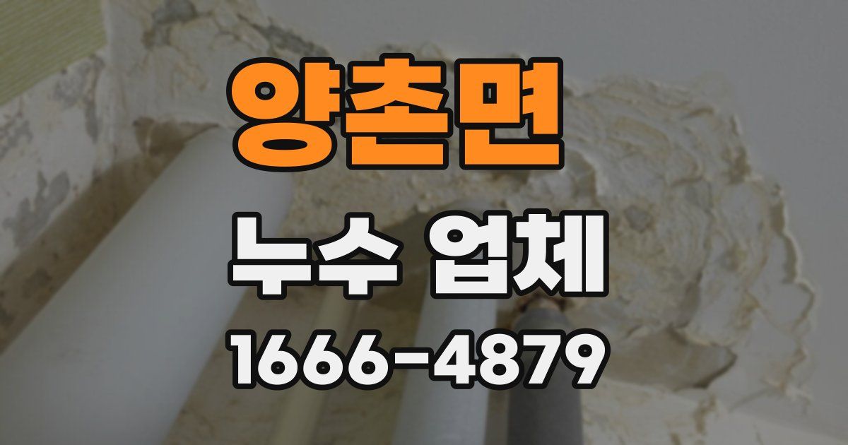 양촌면 누수 업체