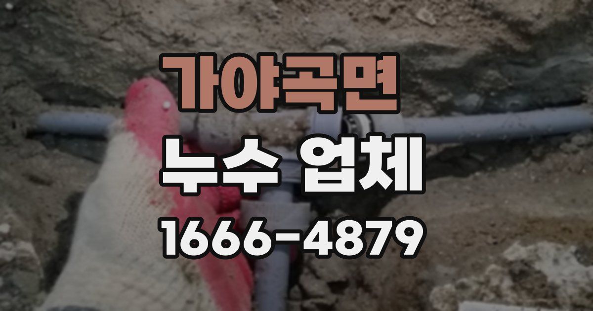 가야곡면 누수 업체