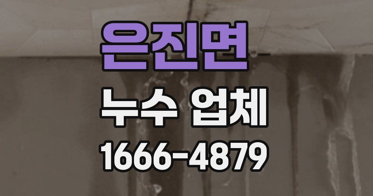 은진면 누수 업체