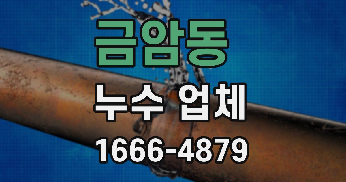 금암동 누수 업체