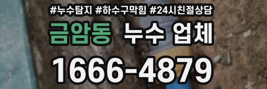 금암동 누수 업체