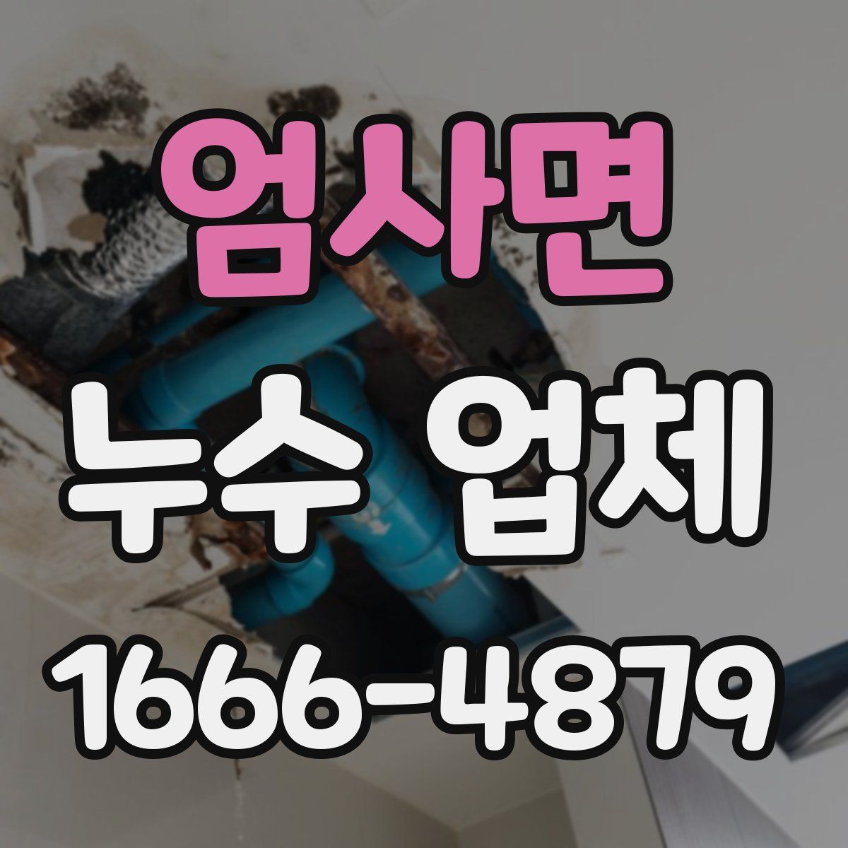 엄사면 누수 업체