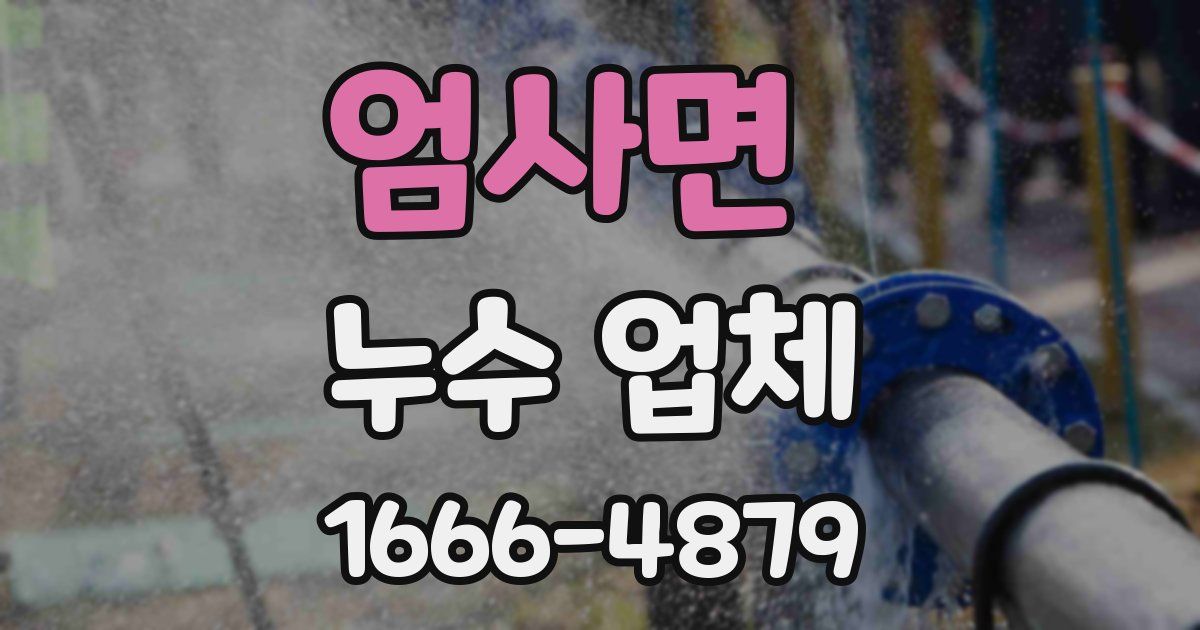 엄사면 누수 업체