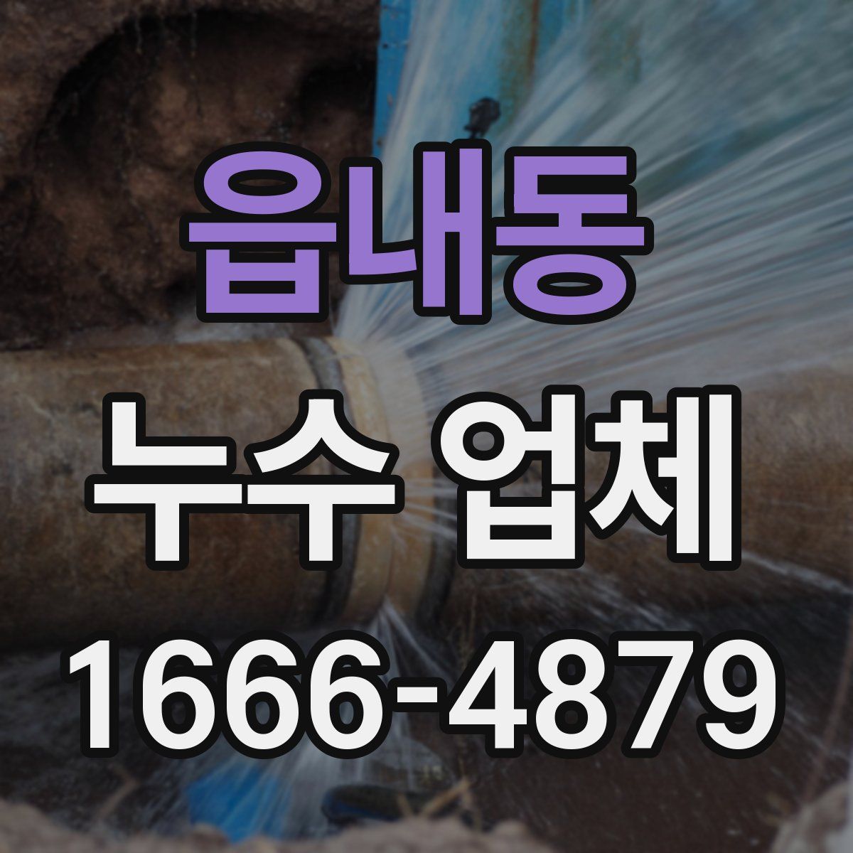 읍내동 누수 업체