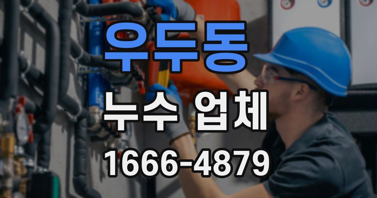 우두동 누수 업체