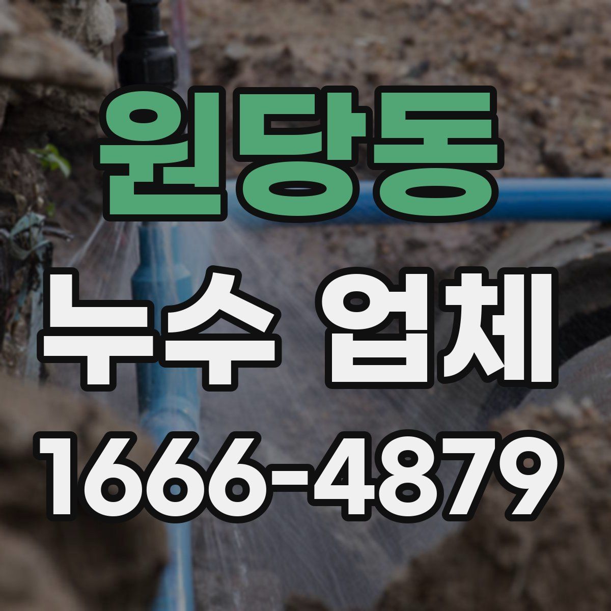 원당동 누수 업체