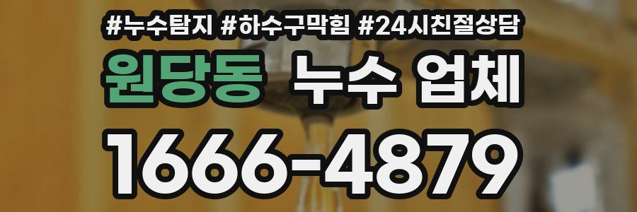 원당동 누수 업체