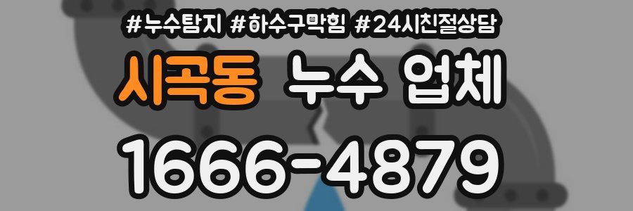 시곡동 누수 업체