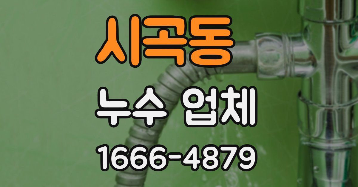 시곡동 누수 업체