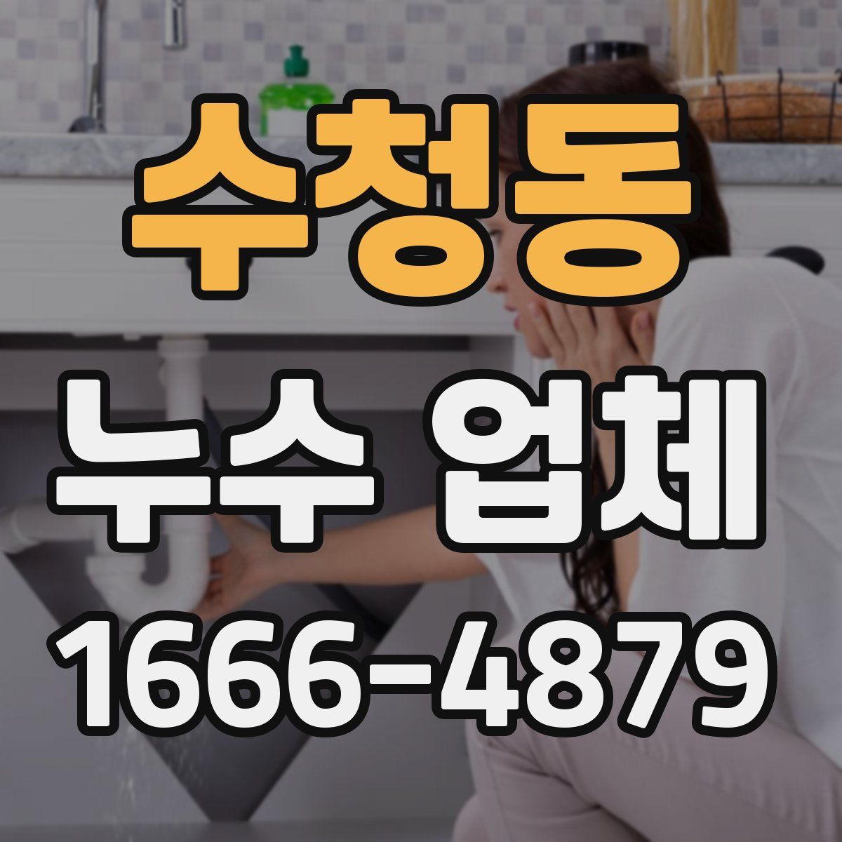 수청동 누수 업체