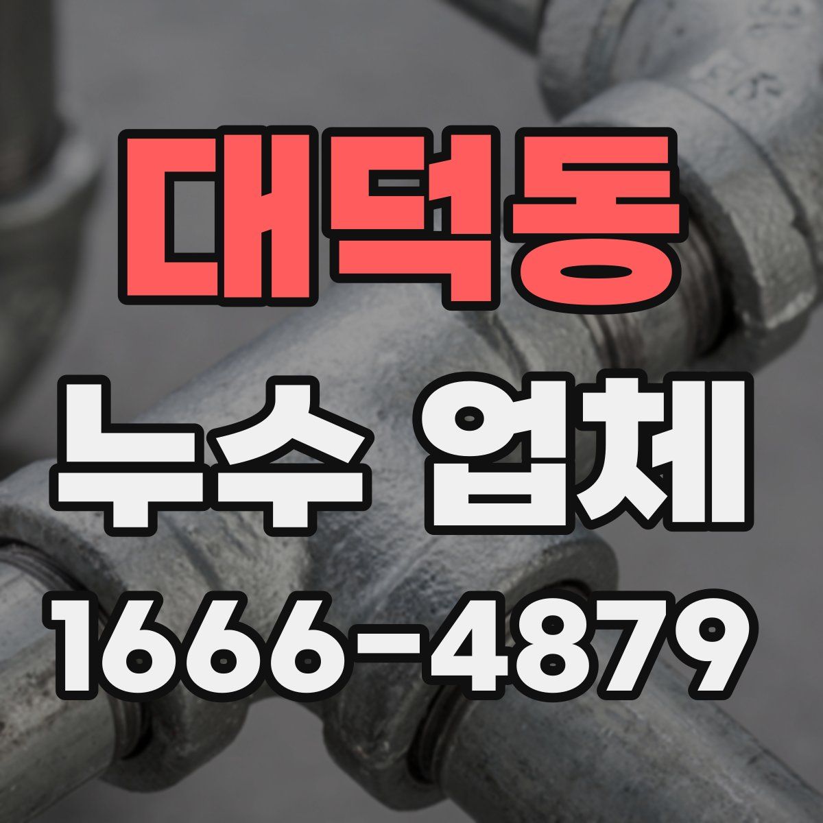대덕동 누수 업체