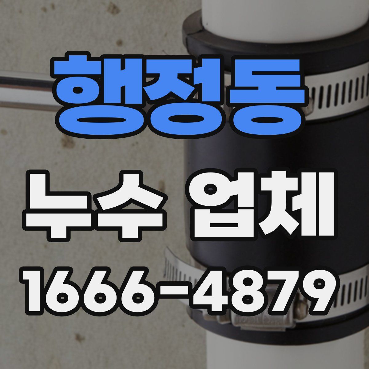 행정동 누수 업체