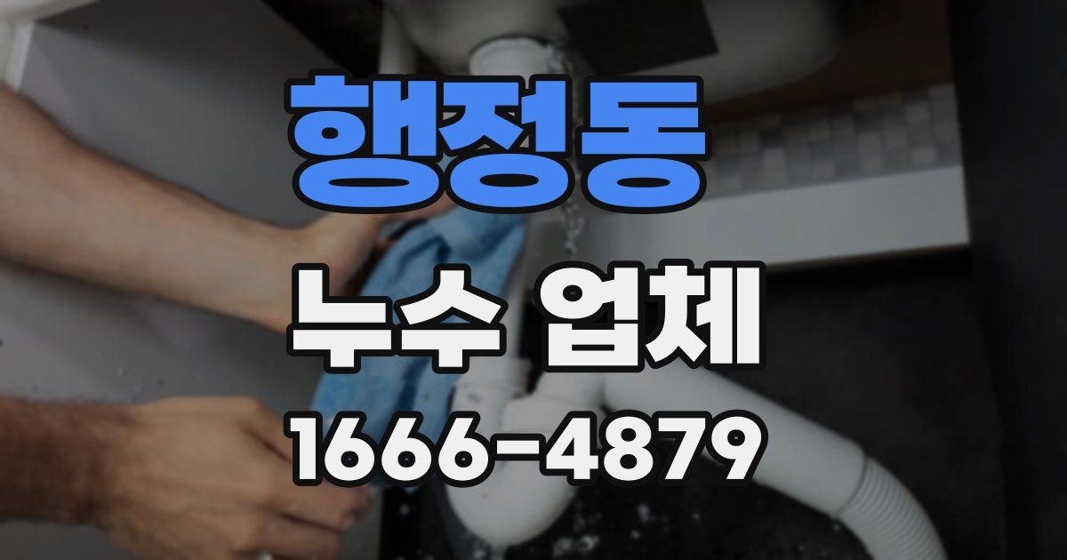 행정동 누수 업체