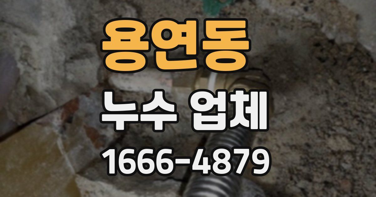 용연동 누수 업체