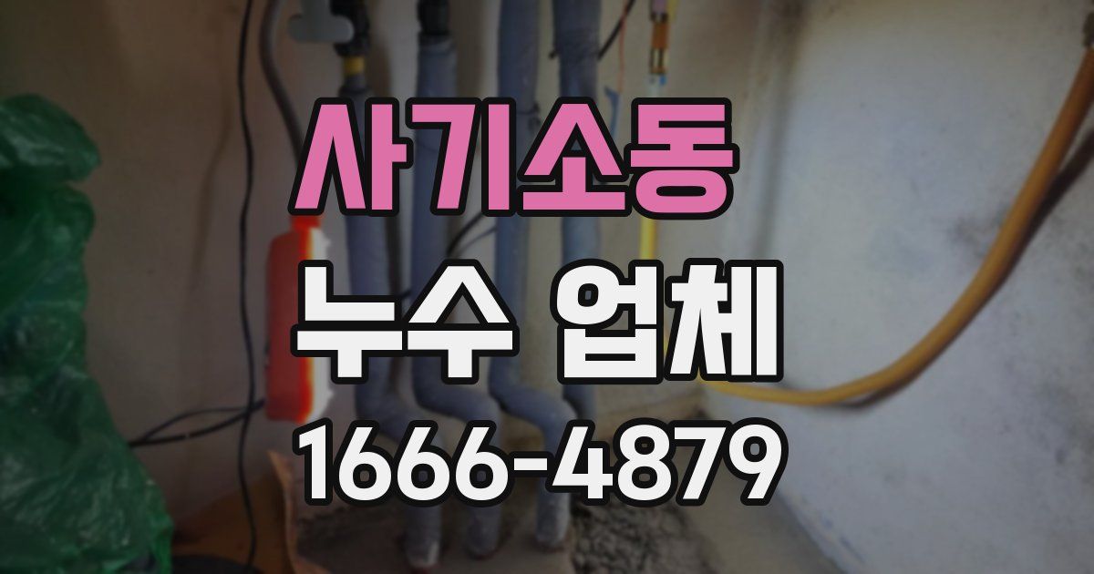 사기소동 누수 업체