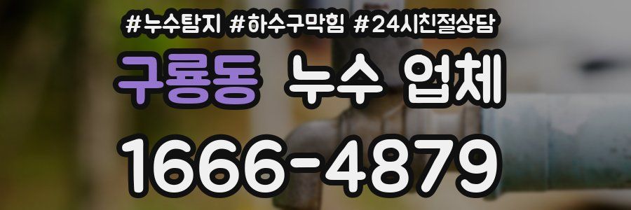 구룡동 누수 업체