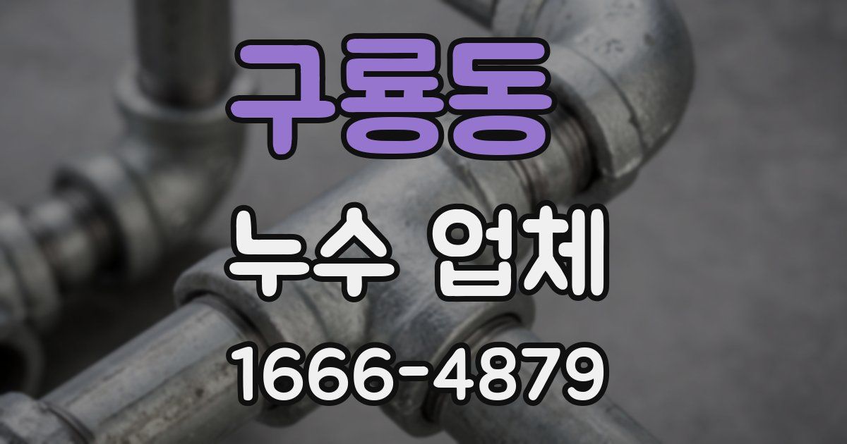 구룡동 누수 업체