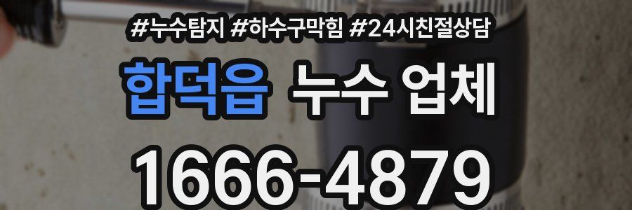 합덕읍 누수 업체