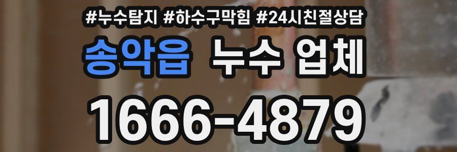 송악읍 누수 업체