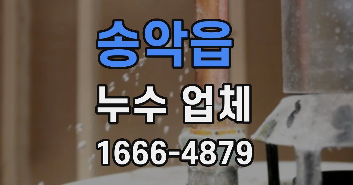 송악읍 누수 업체