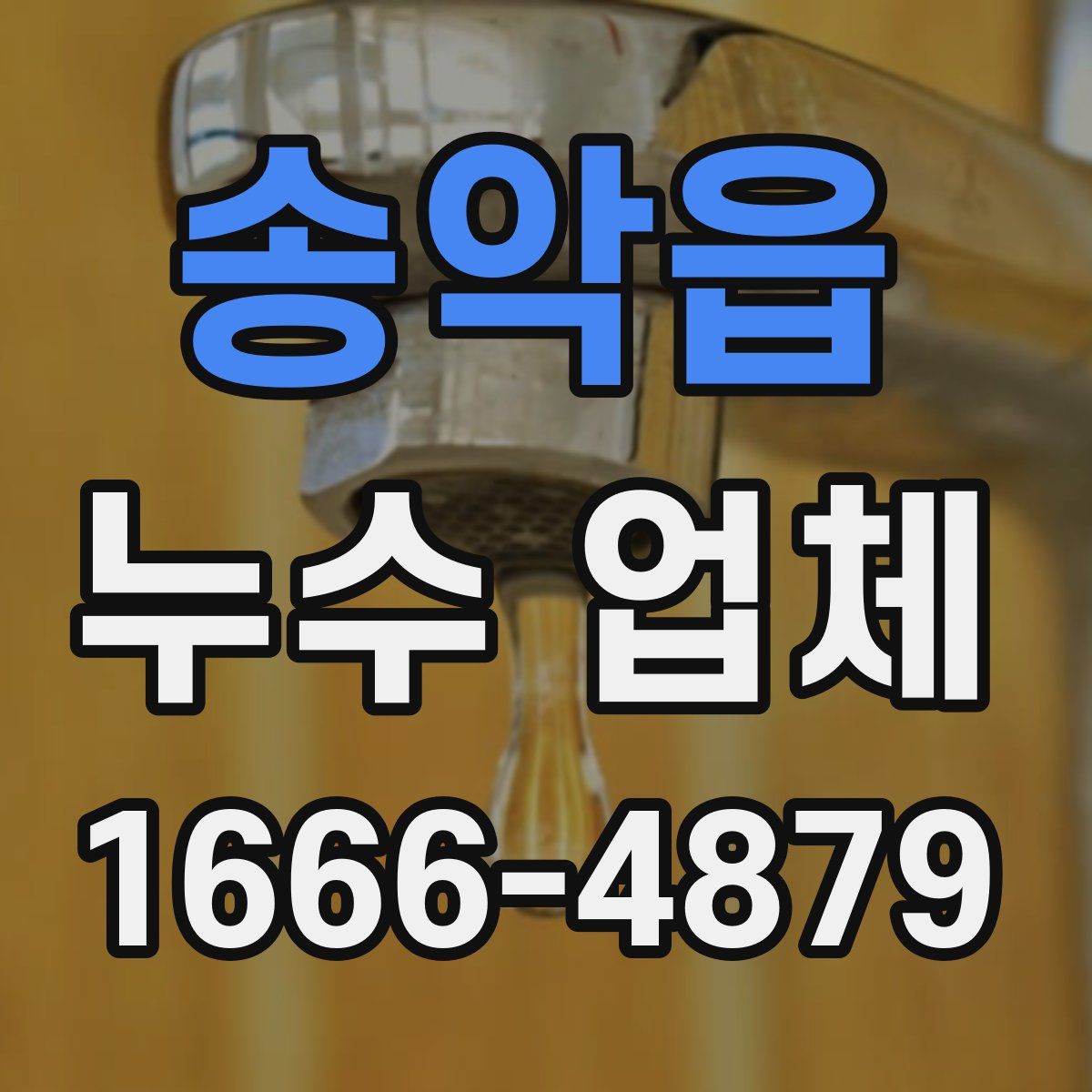 송악읍 누수 업체