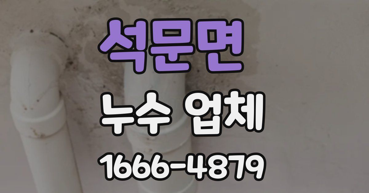 석문면 누수 업체