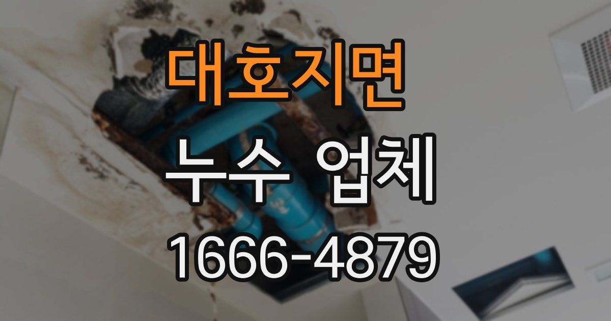 대호지면 누수 업체