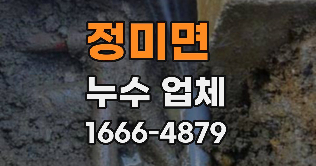 정미면 누수 업체