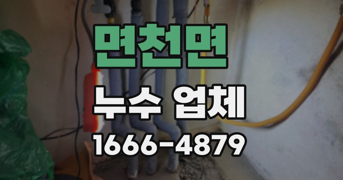 면천면 누수 업체