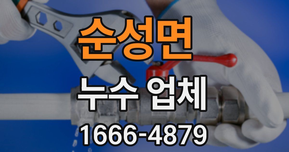 순성면 누수 업체