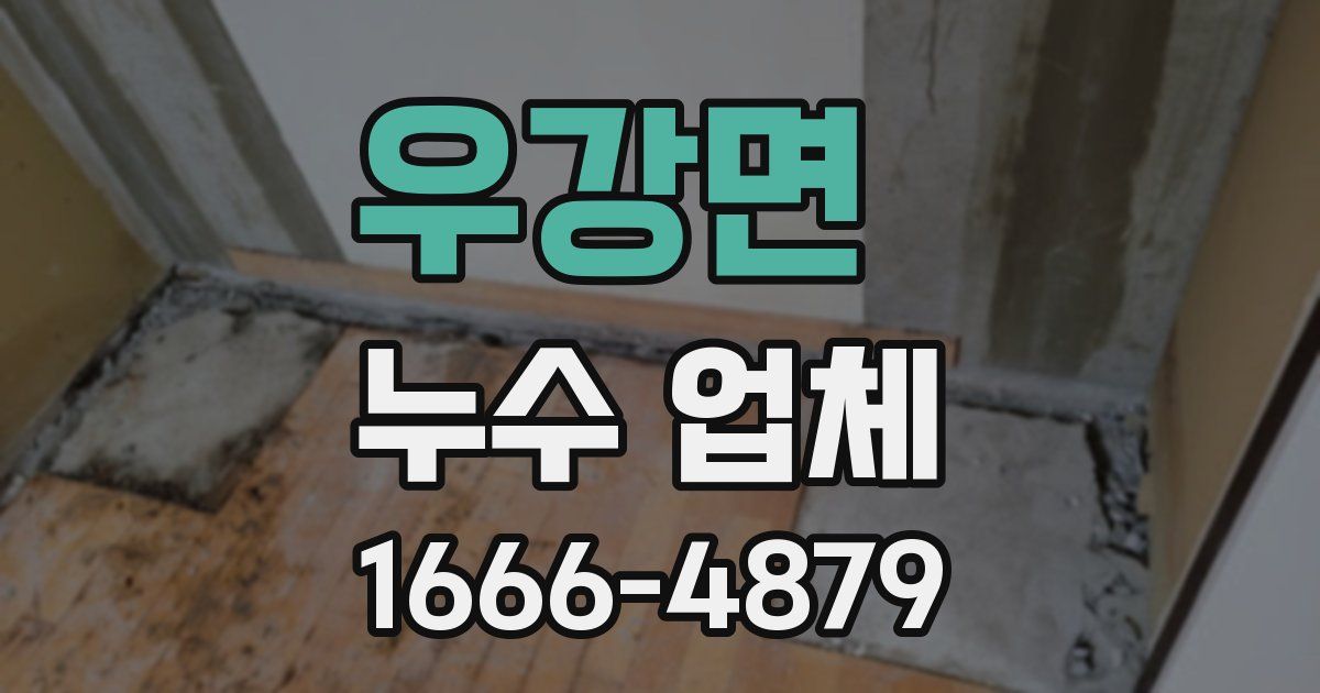 우강면 누수 업체