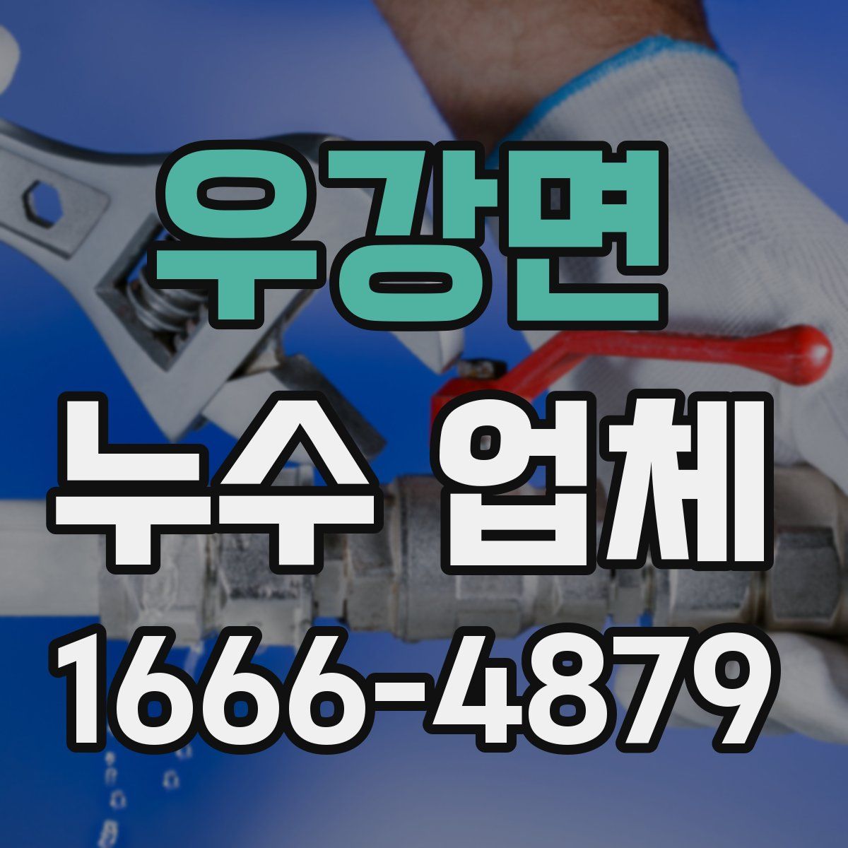 우강면 누수 업체