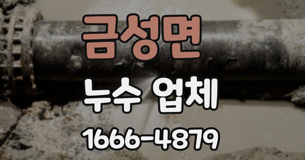 금성면 누수 업체
