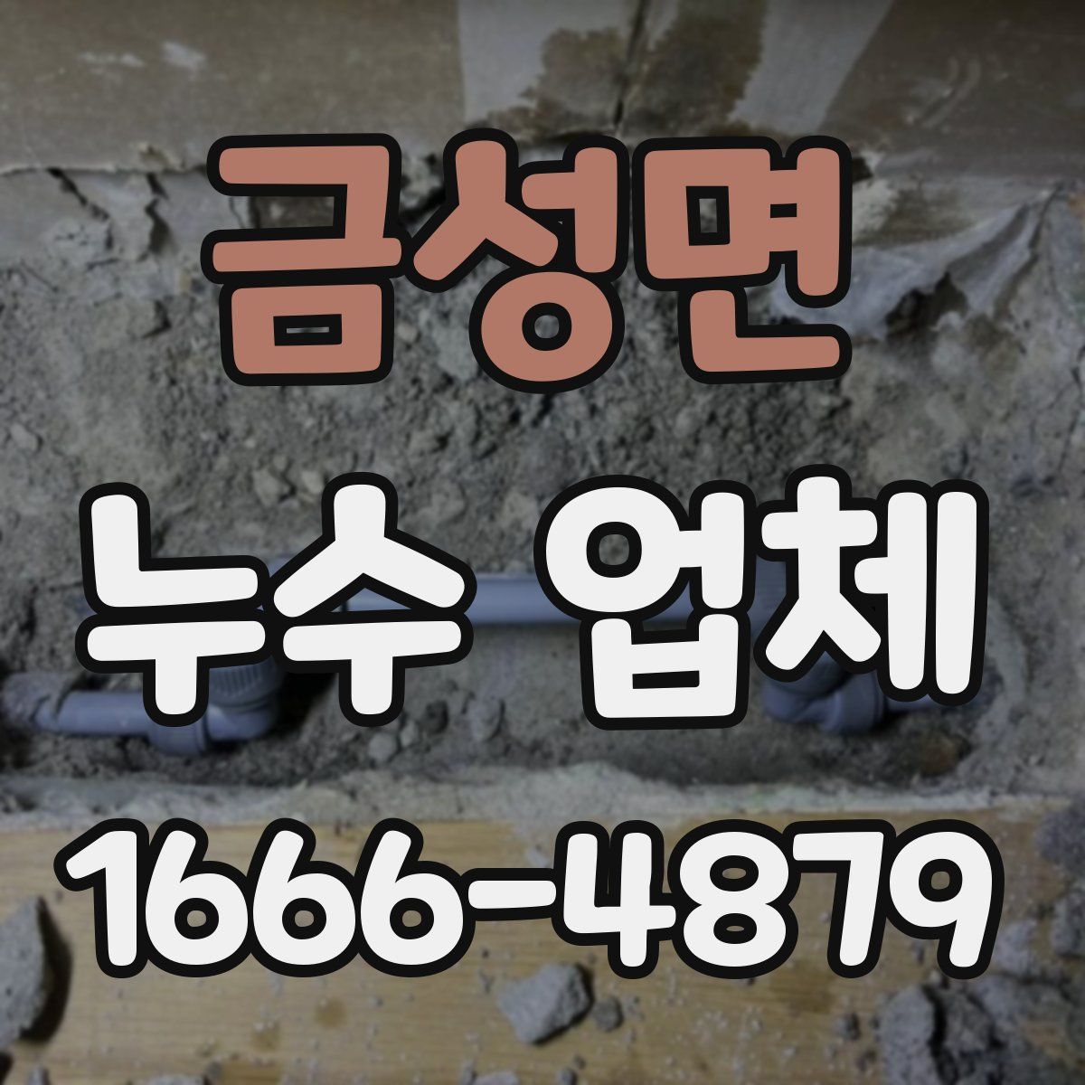 금성면 누수 업체