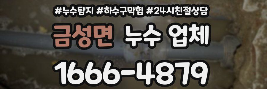 금성면 누수 업체