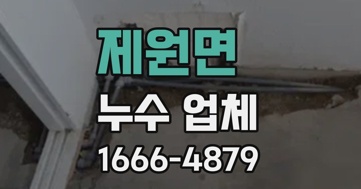 제원면 누수 업체