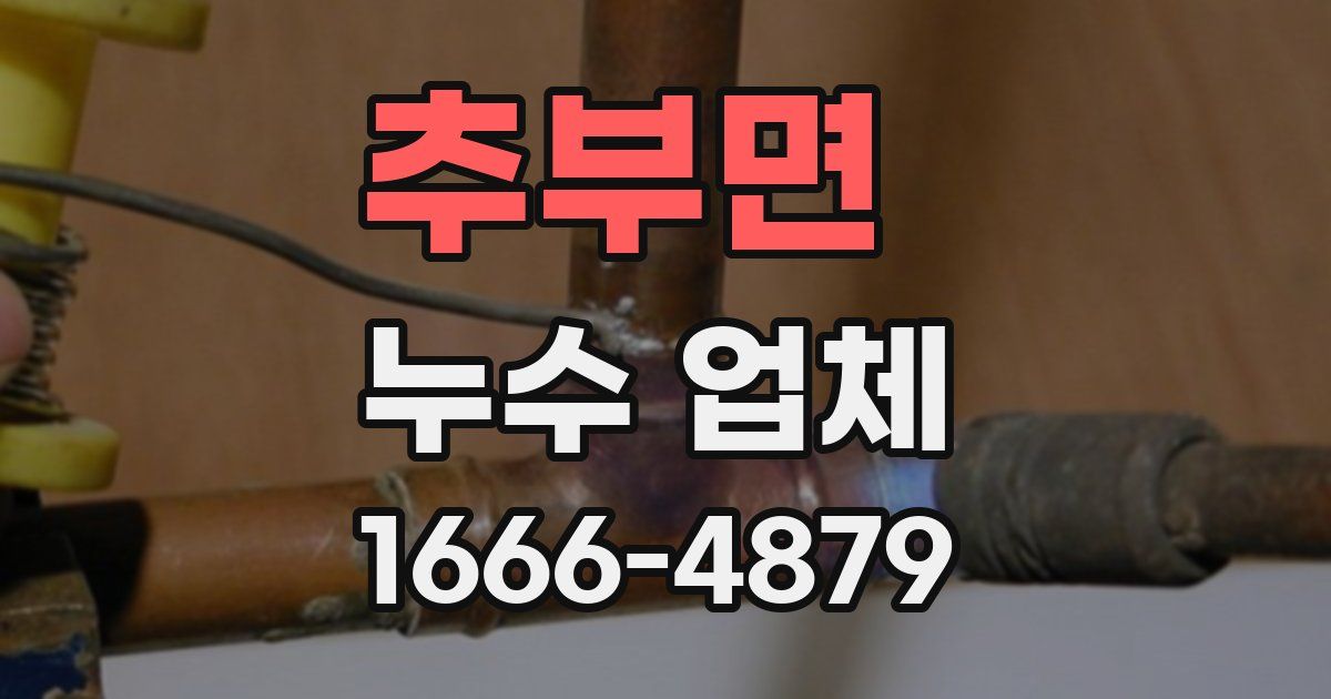 추부면 누수 업체