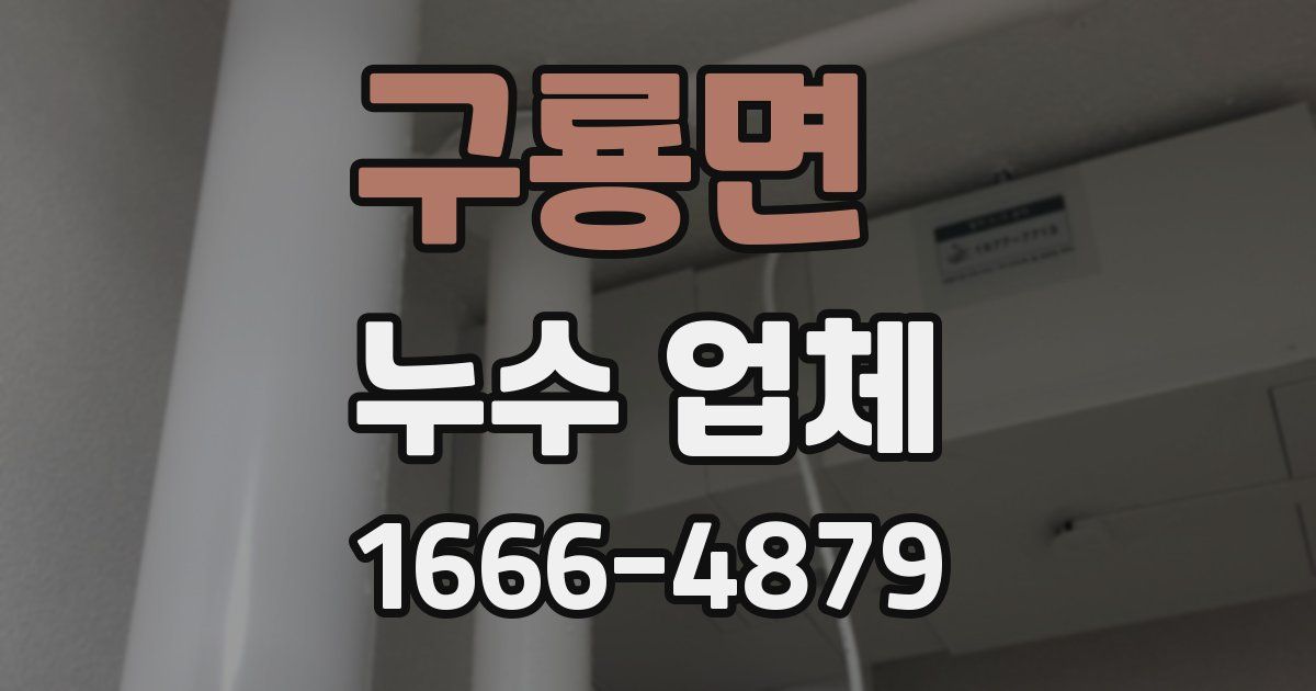 구룡면 누수 업체