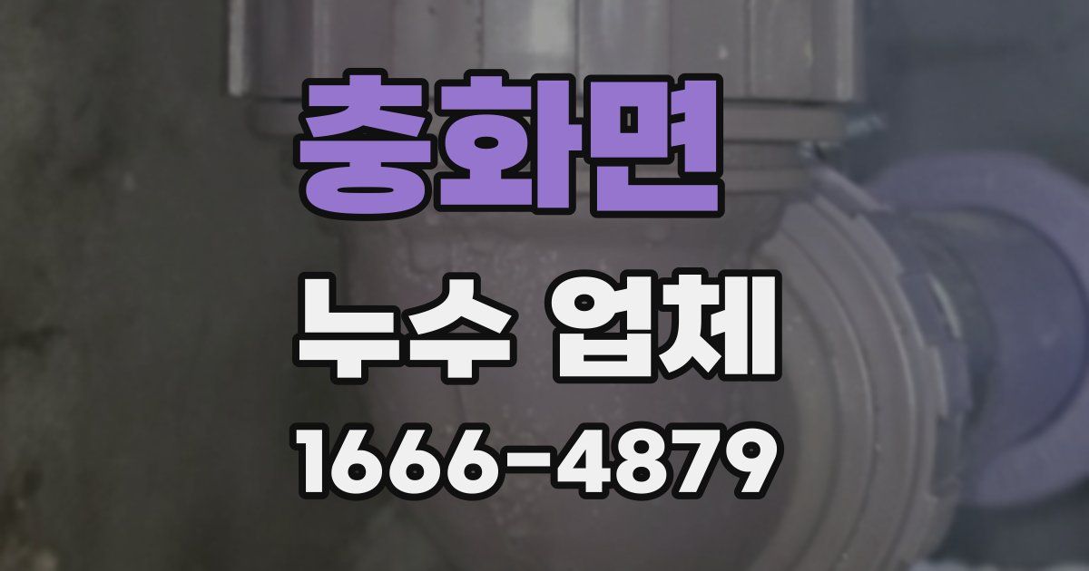 충화면 누수 업체
