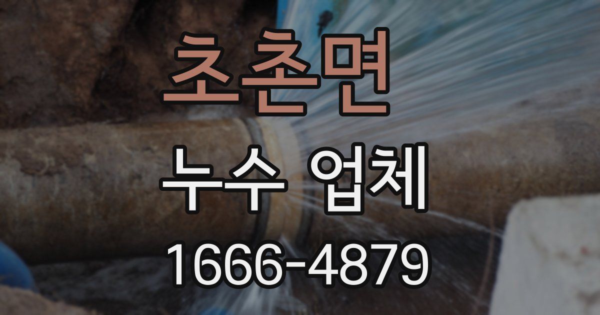 초촌면 누수 업체