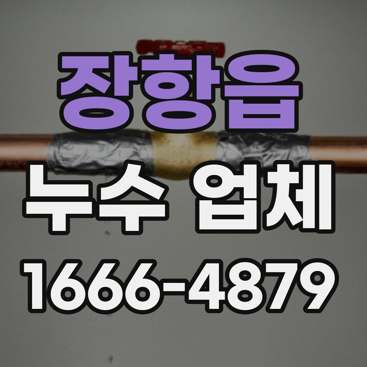 장항읍 누수 업체