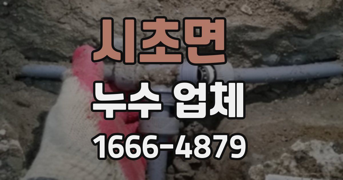 시초면 누수 업체